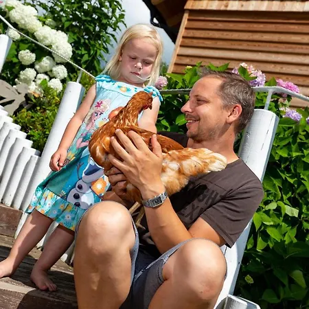 Haus Gschweitl Appartement *