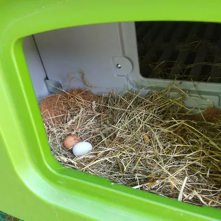 Haus Gschweitl * Semriach